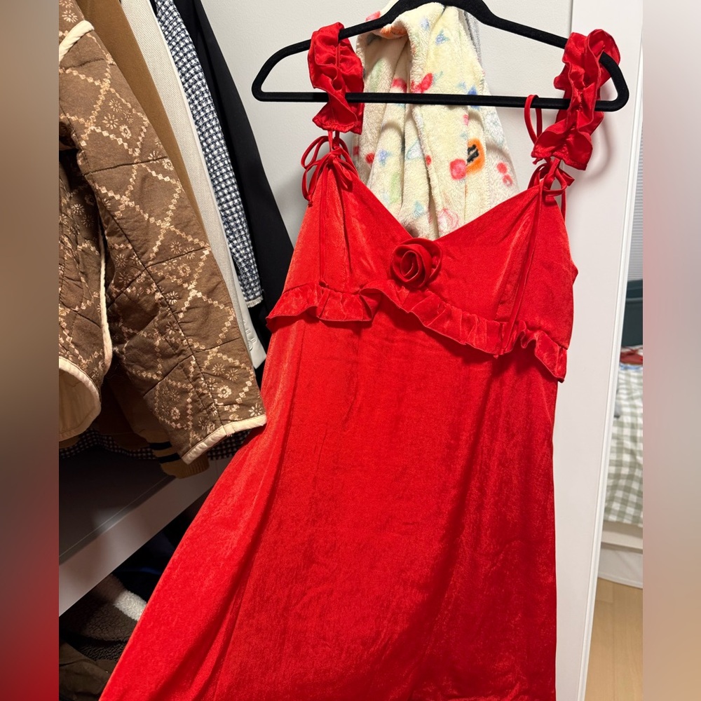 Wild Fable Red Ruffle Dress - Picture 3 of 3